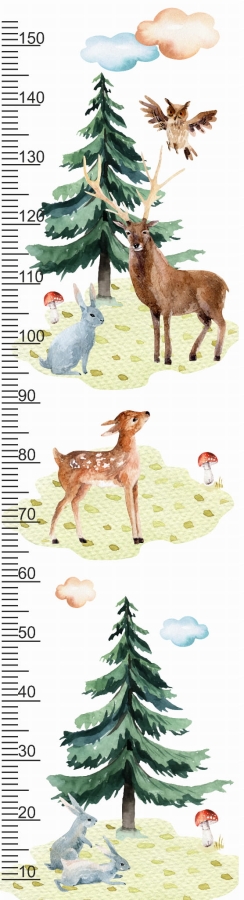 miarki-leśne Mała Pracownia DK.jpg