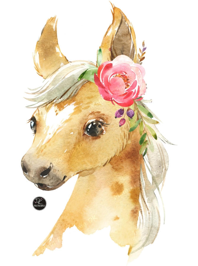 KONIK Mała Pracownia DK.jpg