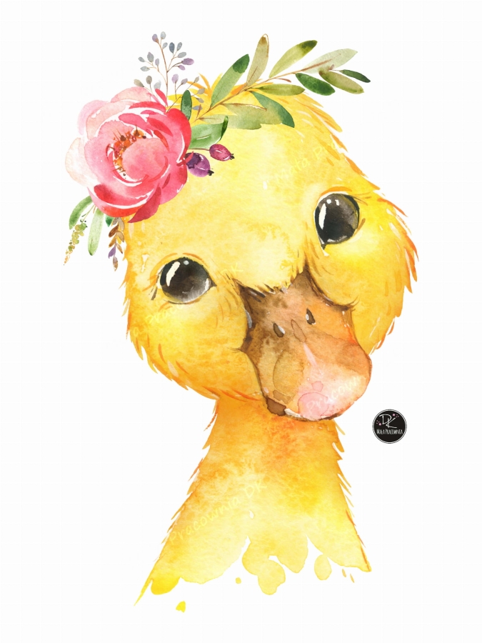 kaczuszka Mała Pracownia DK.jpg