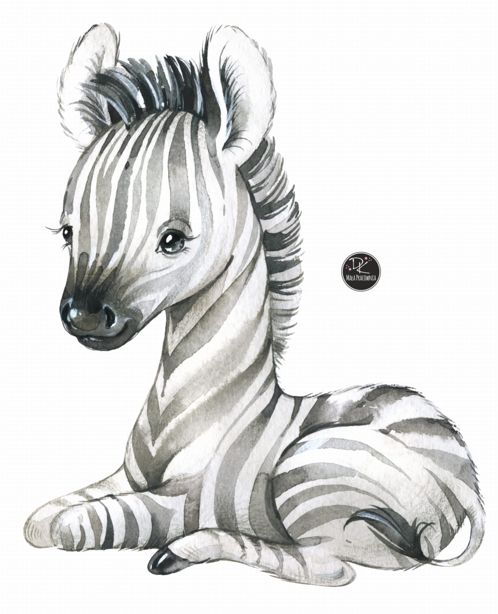 Zwierzęta dzika Afryka,ZEBRA   III-naklejka ścienna.jpg