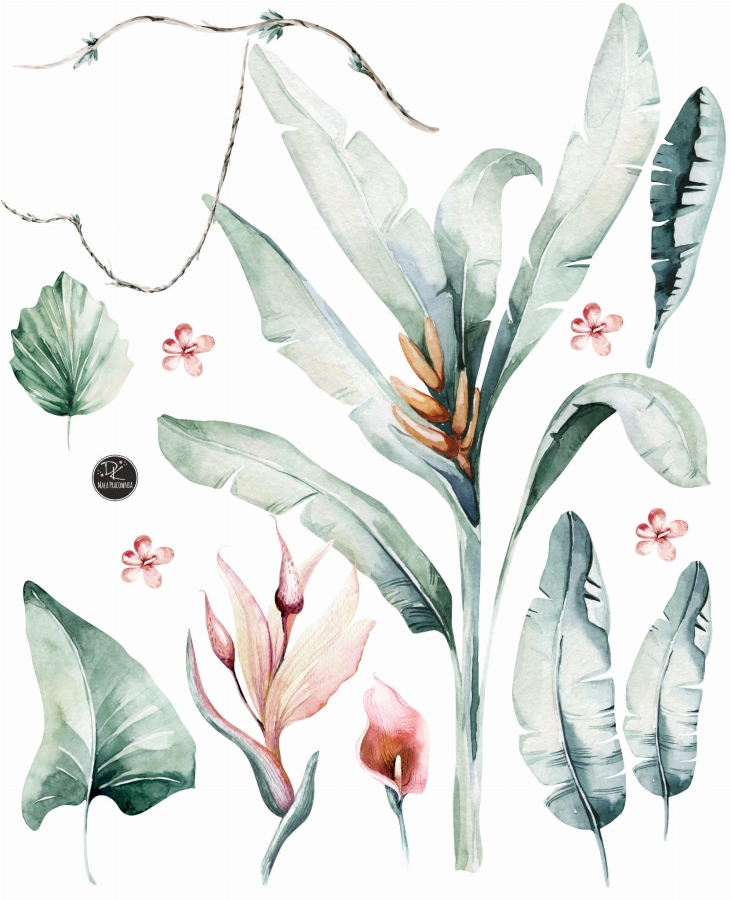 Sawanna,rośliny -zestaw naklejek na ścianę.jpg