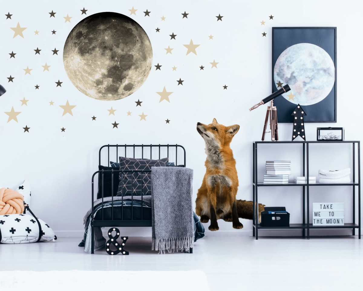 lisek i księżyc.jpg