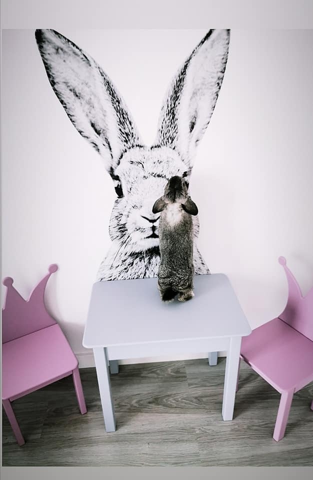 aranżacja pokoju dziewczynki z naklejką królika na ścianie – Mała Pracownia