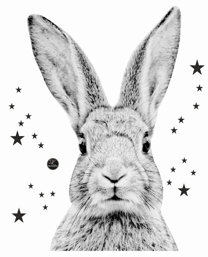 Królik,zając naklejka na ścianę.jpg