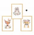 zestaw 3 obrazki sowa,lis,sarenka Nr1.jpg