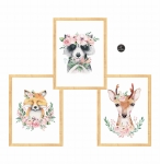 zestaw 3 obrazki szop,lisek,jelonek Nr2.jpg