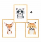 zestaw 3 obrazki lisek,szop,sarenka Nr3.jpg