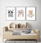 zestaw 3 obrazki szop,lisek,sowa Nr4 .jpg