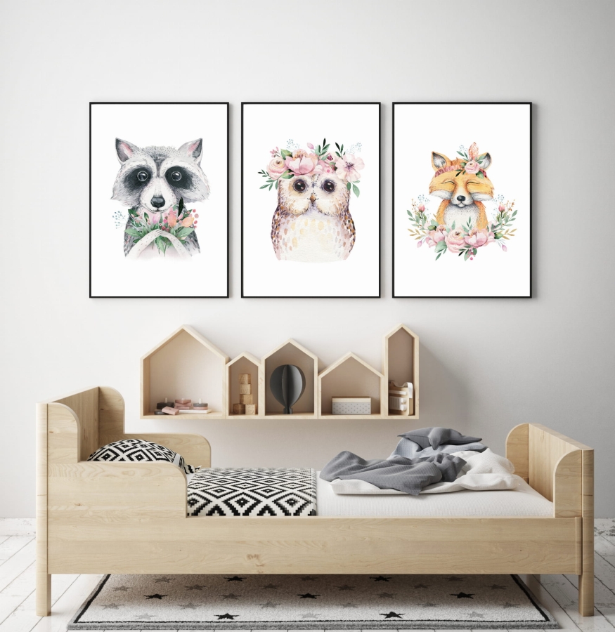 zestaw 3 obrazki szop,lisek,sowa Nr4 .jpg