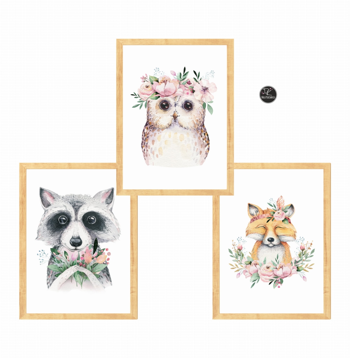 zestaw 3 obrazki szop,lisek,sowa Nr4.jpg