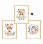 zestaw 3 obrazki jelonek,lisek,sowa Nr5.jpg