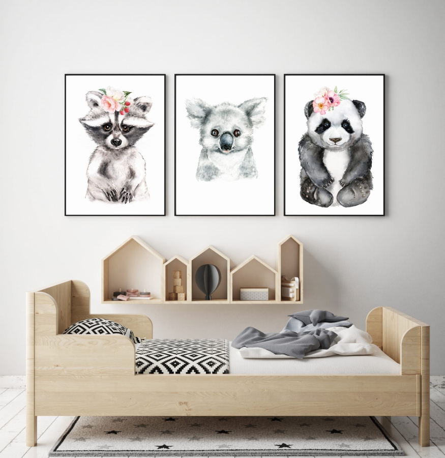 Zestaw 3 obrazki  panda,szop,koala Nr1 .jpg