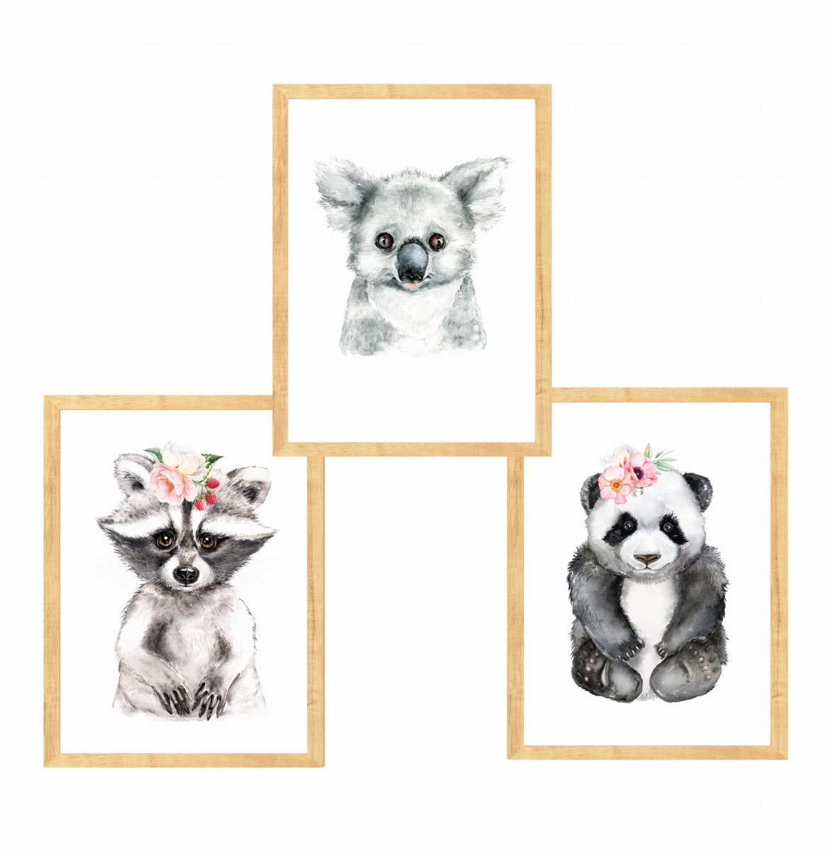 Zestaw 3 obrazki  panda,szop,koala Nr1.jpg