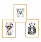 Zestaw 3 obrazki  panda,szop,koala Nr1.jpg
