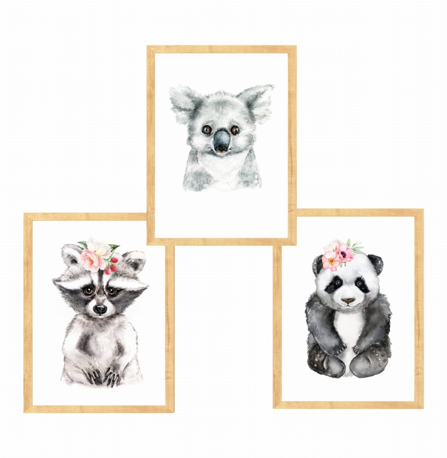 Zestaw 3 obrazki  panda,szop,koala Nr1.jpg