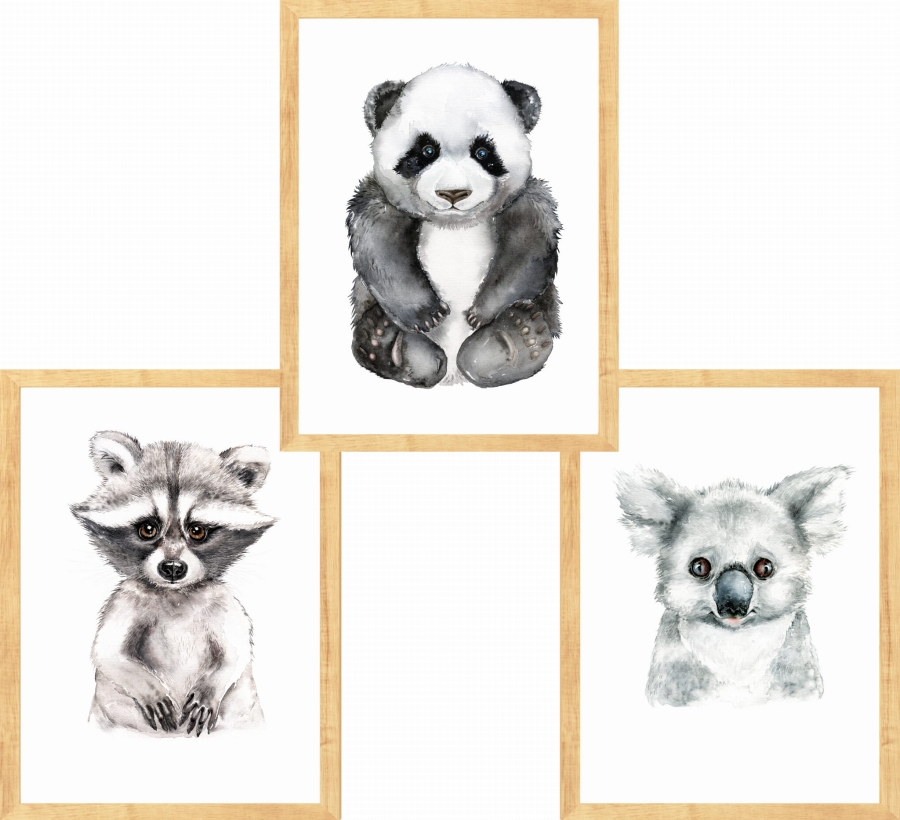 Zestaw 3 obrazki  panda,szop,koala Nr2.jpg