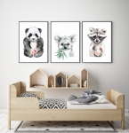 Zestaw 3 obrazki  panda,szop,koala Nr3 .jpg