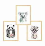 Zestaw 3 obrazki  panda,szop,koala Nr3.jpg