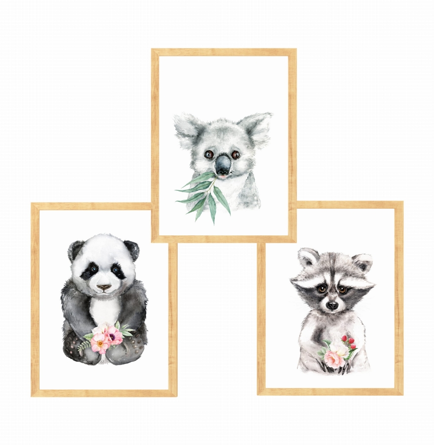 Zestaw 3 obrazki  panda,szop,koala Nr3.jpg
