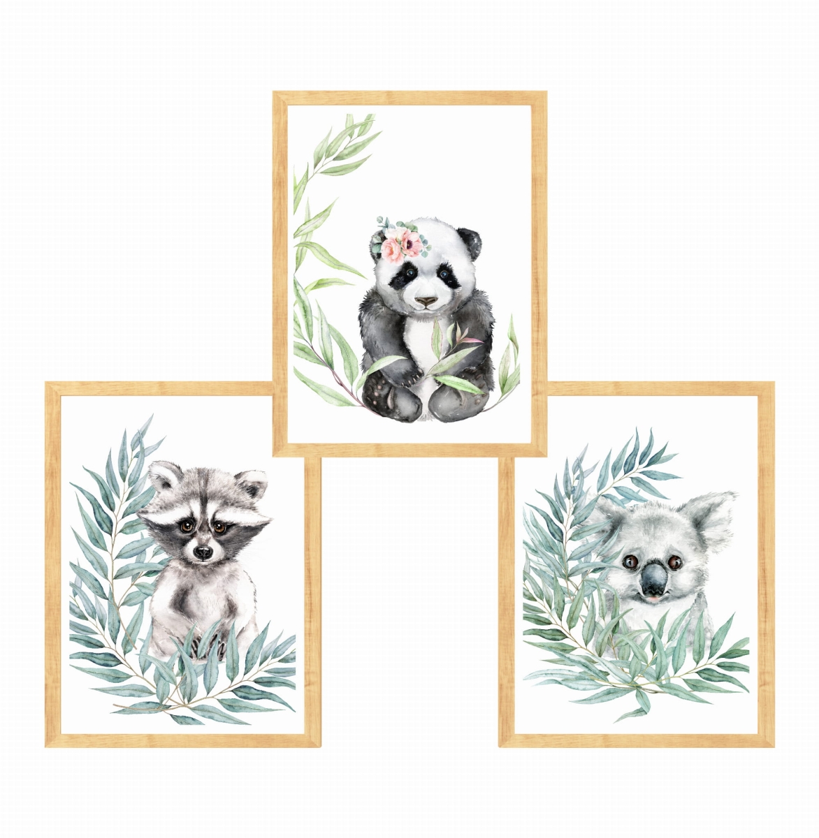 Zestaw 3 obrazki  panda,szop,koala Nr5.jpg