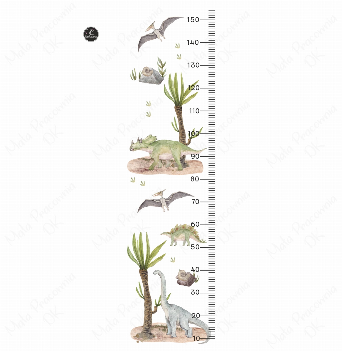 miarka dinozaury Nr1.jpg