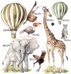 Sawanna Formatka XL .jpg