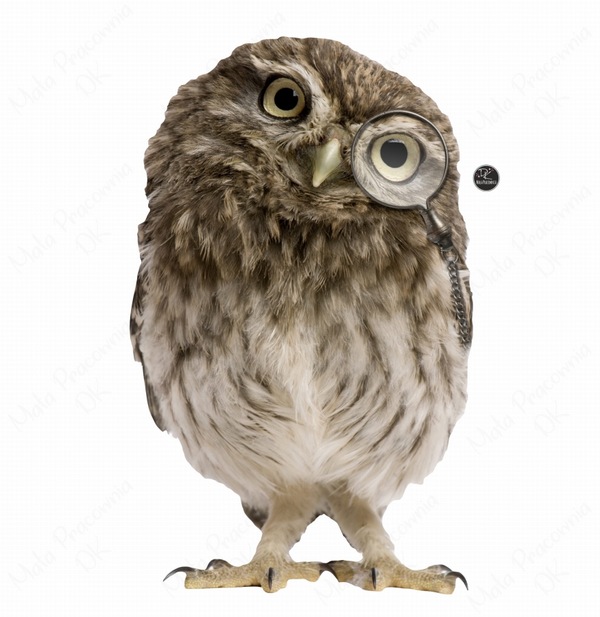 Naklejka sowa w monoklu .jpg