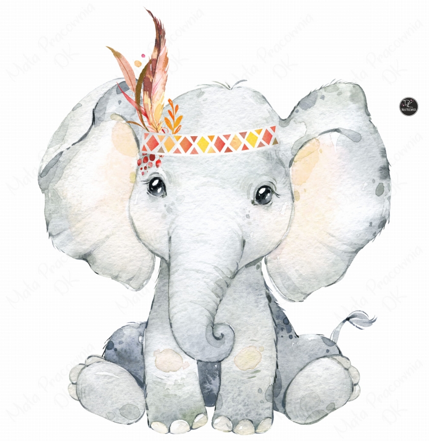 SŁOŃ, SŁONIK ,ZWIERZĘTA  DZIKA  AFRYKA.jpg