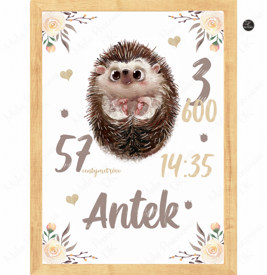 Metryczka dla dzieci jeż.jpg