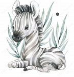 Zebra , bambus , Sawanna , Afryka naklejka na ścianę.jpg