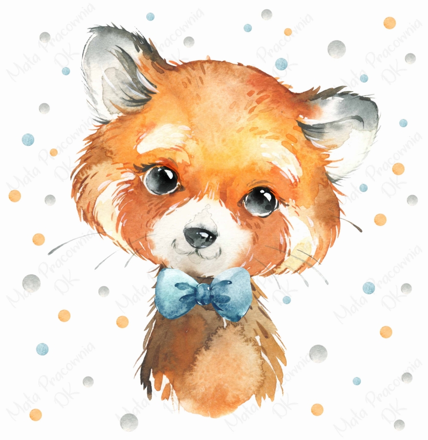 Naklejka na ścianę czerwona panda, konfetti , watercolor.jpg