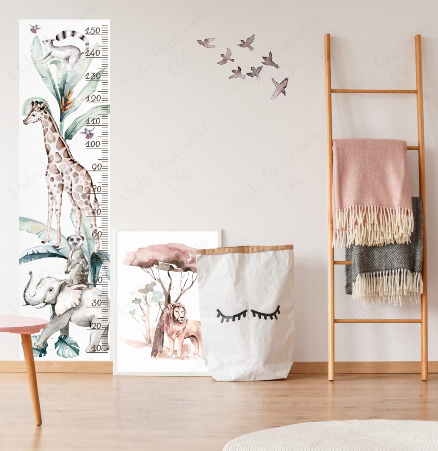 Miarka wzrostu sawanna Nr2.jpg