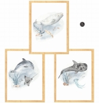 POD WODĄ ,OCENIA  zestaw plakatów Nr.5.jpg