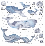 Wieloryby ocean blue - zestaw XL