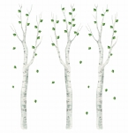 naklejki ścienne brzozy dla dzieci dekoracja ściany las