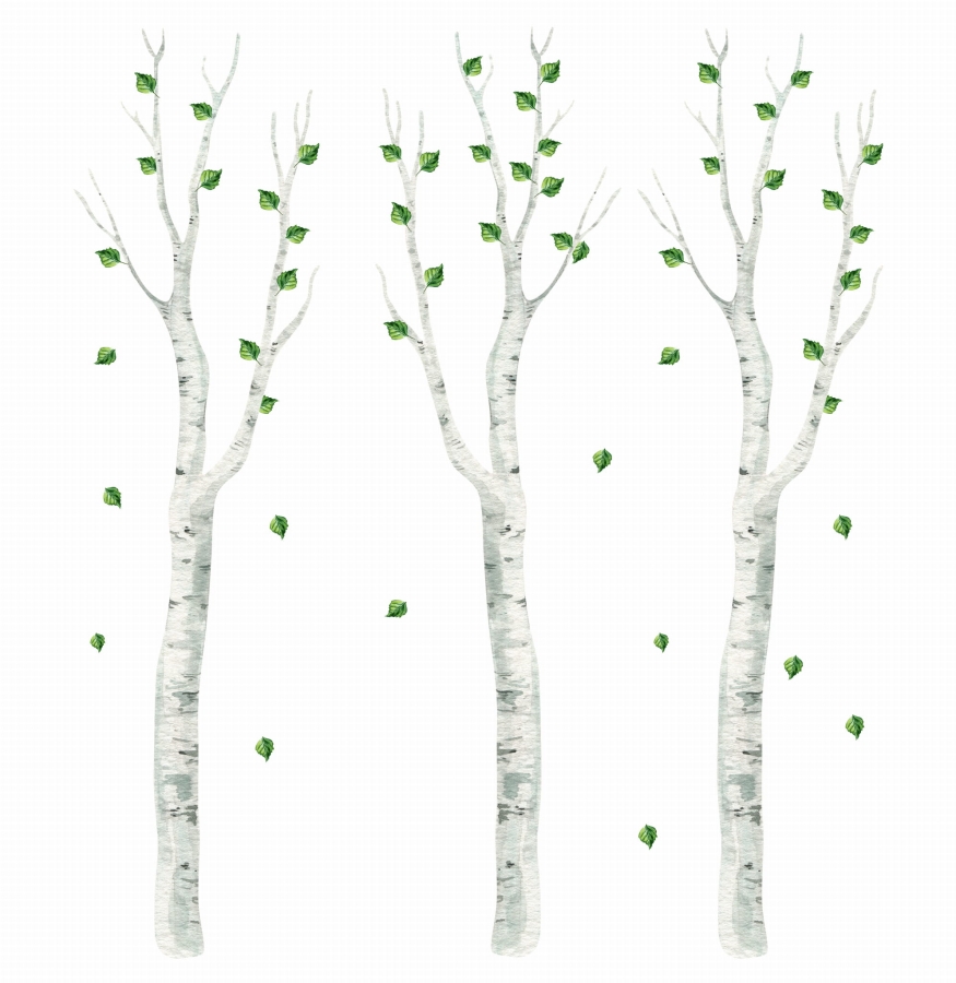 naklejki ścienne brzozy dla dzieci dekoracja ściany las