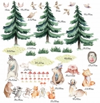 Sarenka, miś, lis las wymiary.jpg