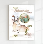 Jelonek - Plakat Na Ścianę Metryczka boho.jpg