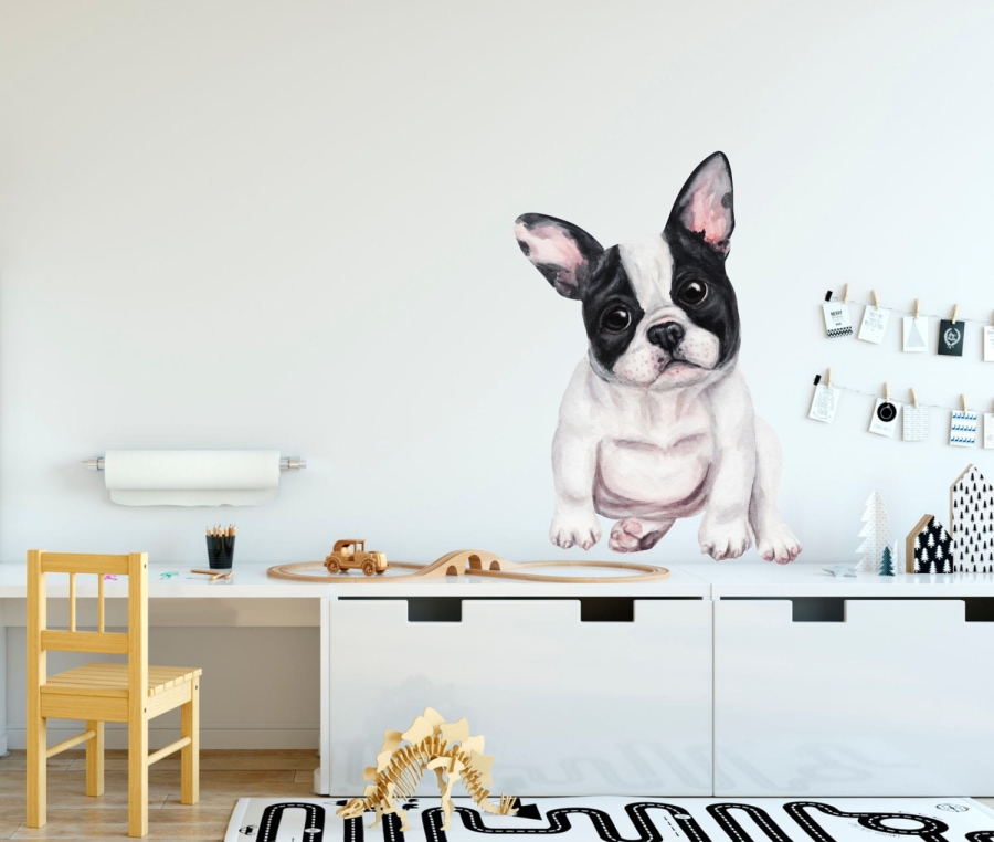 buldogi przygotowanieb.jpg