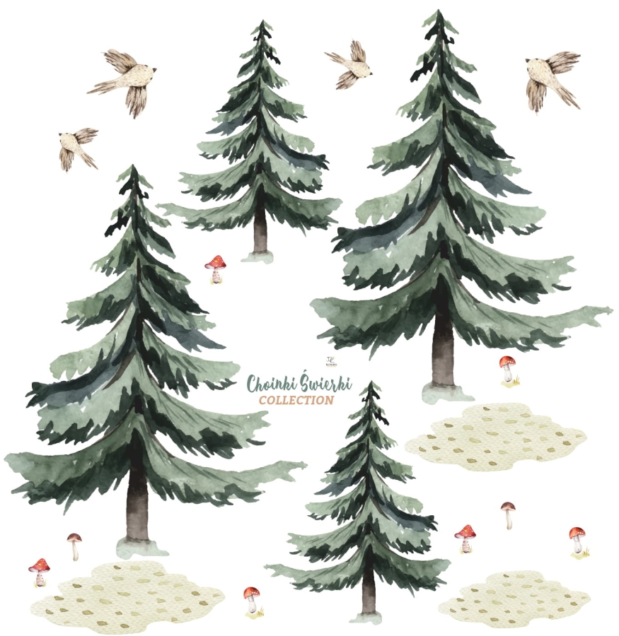 ŚWIERK, CHOINKA, LAS  NAKLEJKA NA ŚCIANĘ, NAKLEJKA ŚCIENNA.jpg