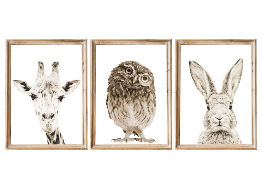 SOWA, KRÓLIK, ŻYRAFA - ZESTAW 3 PLAKATY.jpg