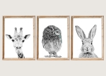 Zestaw plakatów zwierząt w stylu vintage – żyrafa, sowa, królik – dekoracja dla dzieci – Mała Pracownia