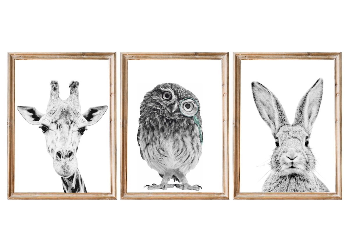 Zestaw 3 plakatów dla dzieci w ramkach – sowa, żyrafa i królik  – Mała Pracownia