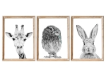 Zestaw 3 plakatów dla dzieci w ramkach – sowa, żyrafa i królik  – Mała Pracownia