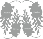 wisteria wymiar.jpg