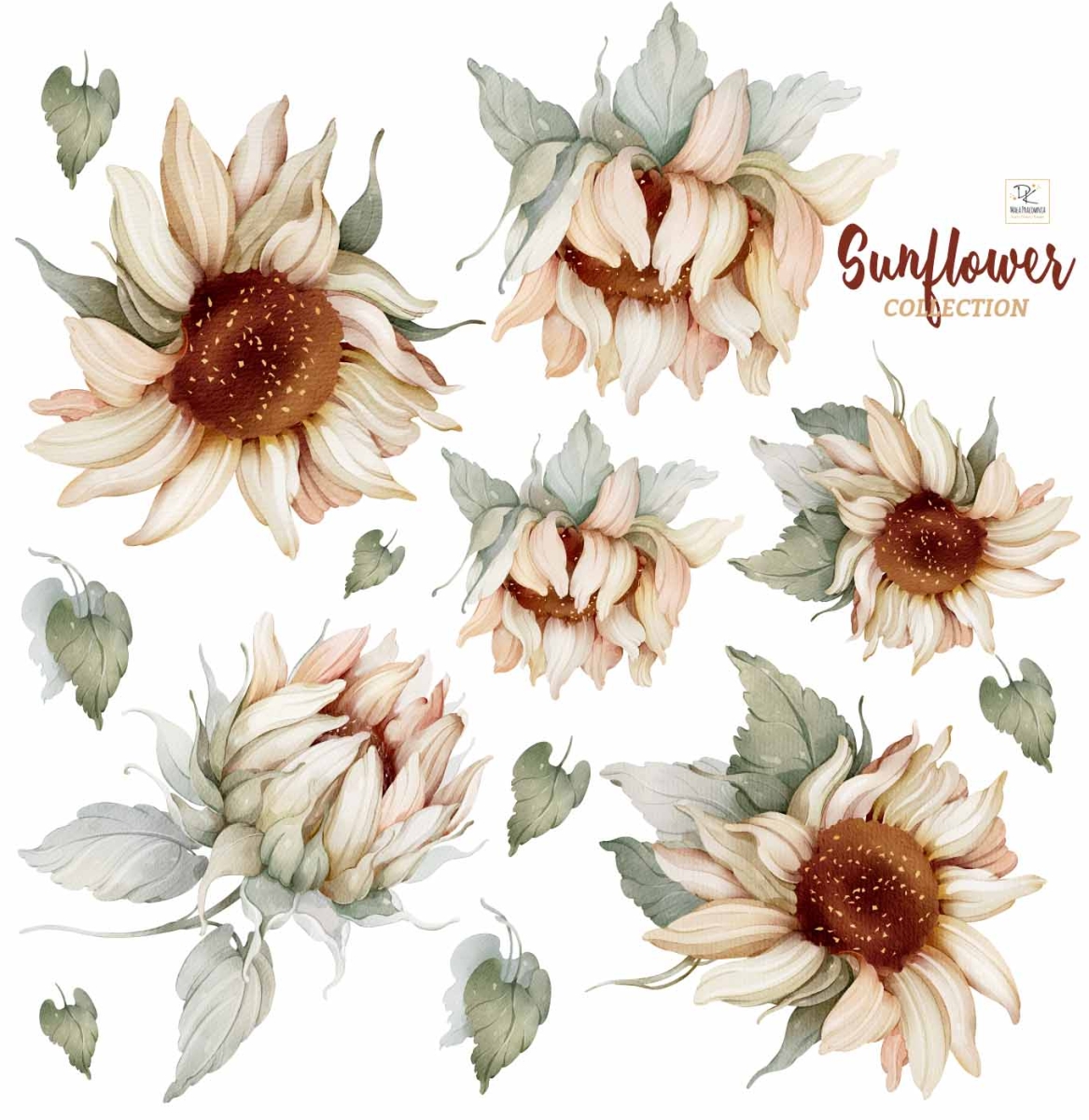 Słoneczniki, Sunflower DK138 watercolor - Naklejka na ścianę.jpg