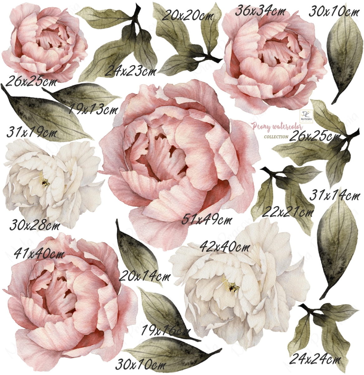 PIWONIE -  NAKLEJKA NA ŚCIANĘ PEONIE  KWIATY XXL formatka.jpg