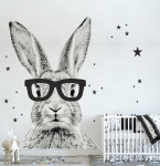 Królik czarno-biały w okularach gwiazdki - Naklejka na ścianę, naklejka ścienna.jpg