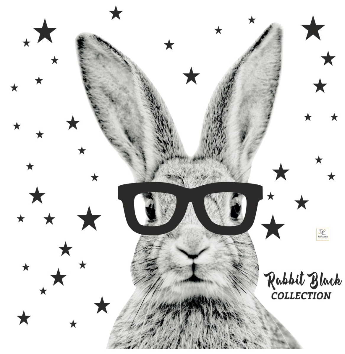 Królik czarno-biały w okularach gwiazdki DK178 - Naklejka na ścianę, naklejka ścienna.jpg