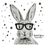 Królik czarno-biały w okularach gwiazdki DK178 - Naklejka na ścianę, naklejka ścienna.jpg